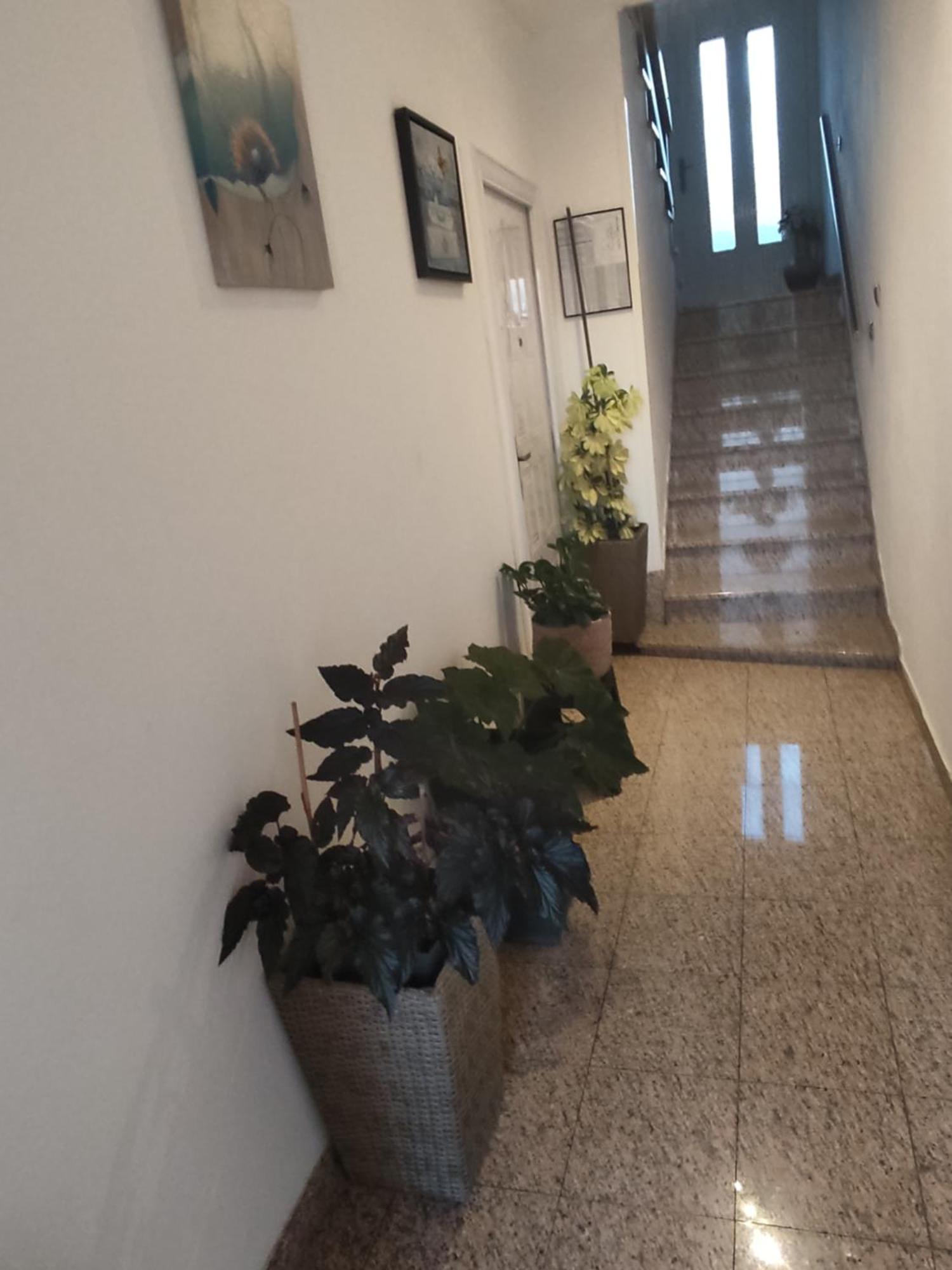 Dalmati House Ξενοδοχείο Brodarica  Εξωτερικό φωτογραφία
